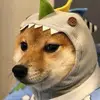 emmachow - @emmachow00 - TikTok