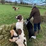 Emma Coates - @coatese03 - Instagram
