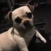 Emma Coggin - @emmac1234561 - TikTok