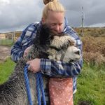 MoorViewAlpacas - @emmacollison - Instagram