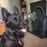 Emma Collum Goggin - @ejcollum - Instagram