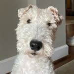 Emmie Collum - @emmie_da_dawg - Instagram