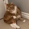 Emma - @notemmacookson - TikTok