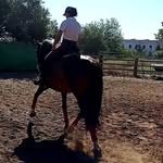 Emma Cordero Mellado - @corderomellado.emma - Instagram