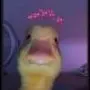 emmacordero1 - @emmacordero1 - TikTok