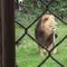 Emma Corless - Facebook