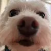 emma.corless - @emma_13574 - TikTok
