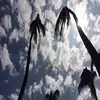 emmacornish123 - @emmacornish123 - TikTok