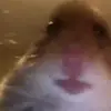 Emma - @emmacorryy - TikTok