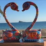 Emma Cottle - Facebook