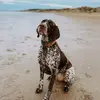 emma coy - @emma_5306 - TikTok