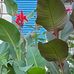 Emma Cranston - Facebook