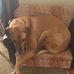 Emma Crossley - Facebook