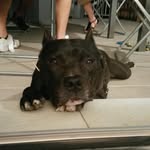 @emma___crystal - Instagram
