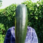 Emma Dandridge - @growing_zero_waste - Instagram