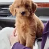 user2736843766649 - @emmadann7 - TikTok