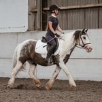 Emma Davison - @_my.cob.sammy_ - Instagram