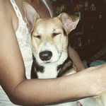 Emma Dizon - @dizonemz04 - Instagram