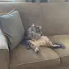 Emma - @emma_dodson22 - TikTok