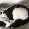Emma - @emmadodson_ - TikTok