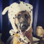 Emma Escobar - @emma_escobar.perricornio - Instagram