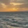 emma - @emma.etheridge - TikTok
