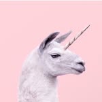 Emma Eubanks - @llama_drama0 - Instagram
