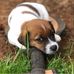 Emma Ferris - Facebook