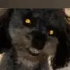 emma_fish12 - @emma_fish12 - TikTok