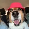 Emma Fish - @emmafish26 - TikTok