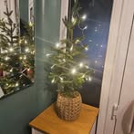 Emma Fish - Facebook