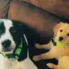 emmafish5 - @emmafish51 - TikTok
