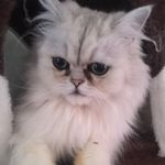 Emma Gammon - @ekgammon78 - Instagram