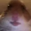 Emma Gowen28 - @user3771944275305 - TikTok