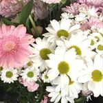 Emma Greening - @e.greening2 - Instagram