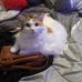 Emma Greenwell - Facebook