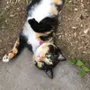 emmagrubb0205 - @emmagrubb0205 - TikTok