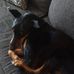 Emma Hadley - Facebook