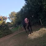 Emma - @x_emma.harbinson_x - Instagram
