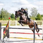 Emma Haskins - @e.h_equestrian_ - Instagram