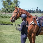 Emma Hay - @emmz_equestrian - Instagram