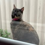 Emma Herbert - @mohidof187 - Instagram