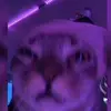 Emma Hillier - @emmahillier2 - TikTok