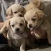 Emma Hinton - Facebook