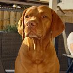 Charlie - @emma_holzer_ - Instagram