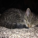Emma Houck - @shouck85 - Instagram