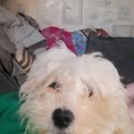 Emma Horobin - @emmahouseman - Instagram