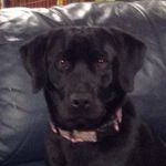 Emma Grace Houser - @emma.houser10 - Instagram