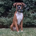 Emma houser - @emmah.ouser - Instagram