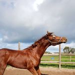 Emma Hubbard - @emma.hubbard.319 - Instagram